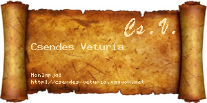 Csendes Veturia névjegykártya